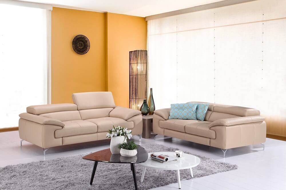 A973 Premium Leather Living Room Set