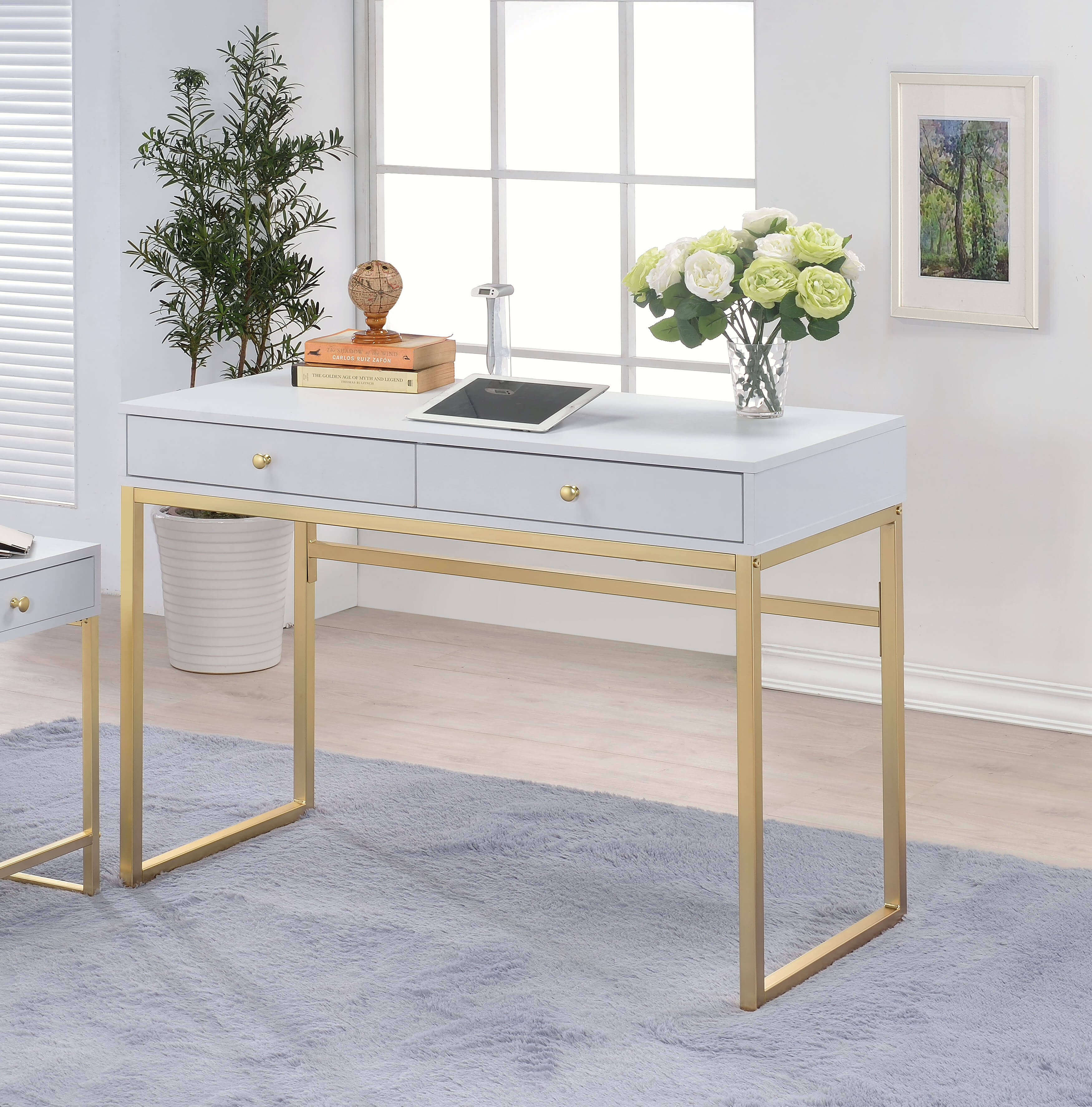 Coleen 2 Desk by ACME