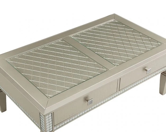 Adina Glass/Wood Storage Coffee Table