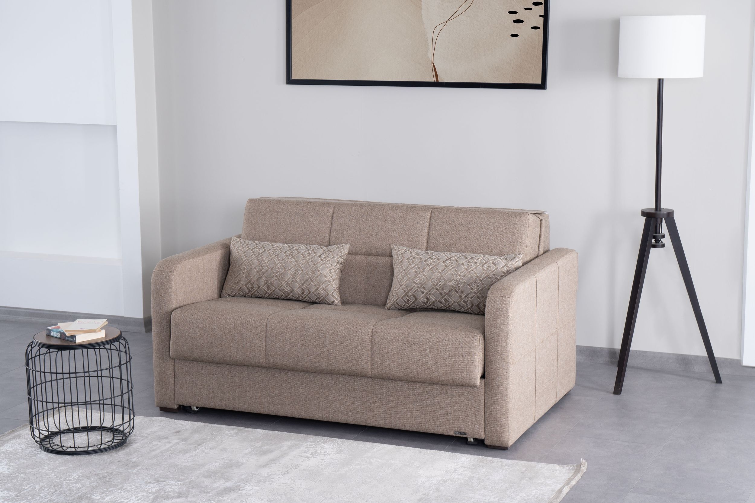 Pull Out Sleeper Loveseat Fabric Couch