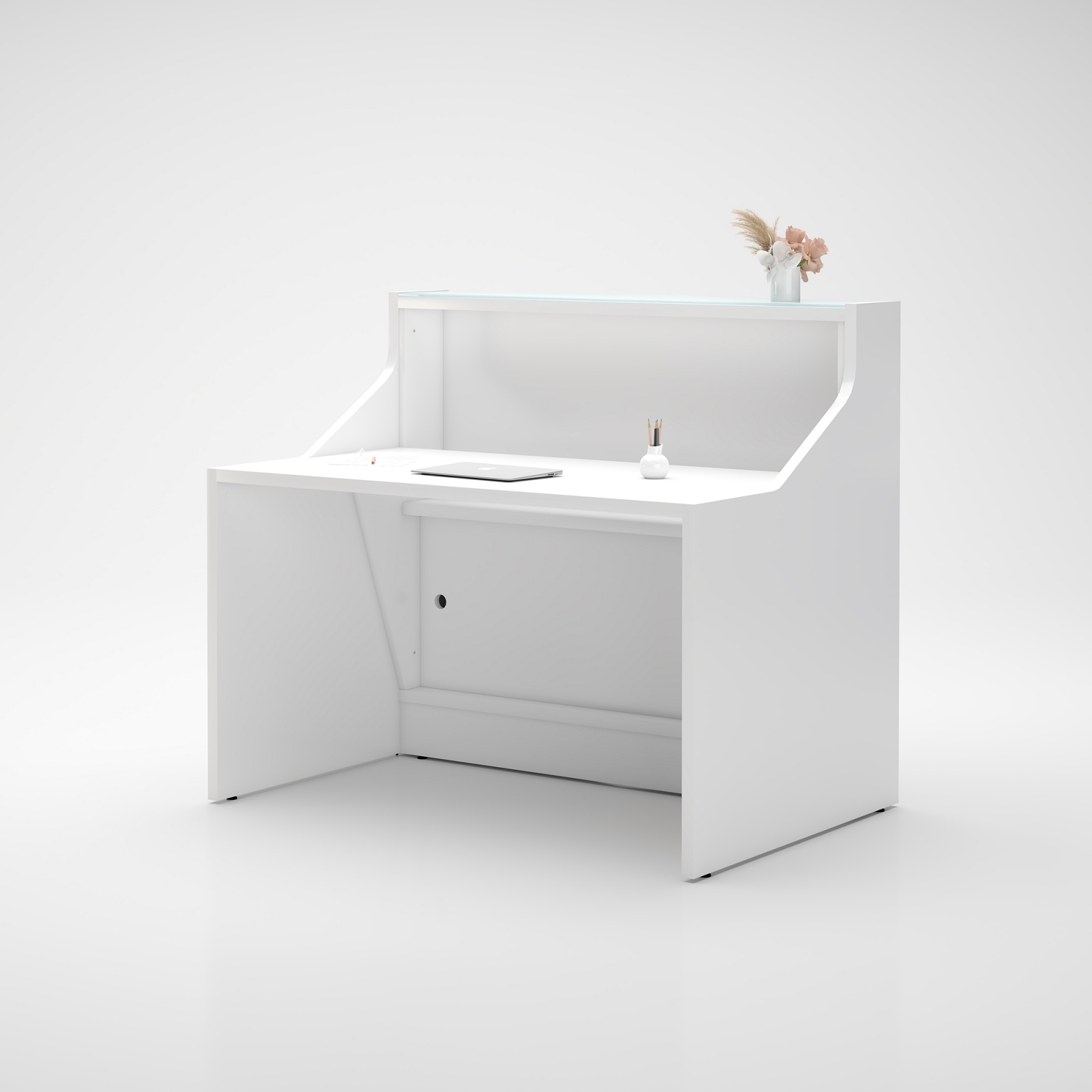 Alpa 49" Straight Small Reception White Desk Back Side