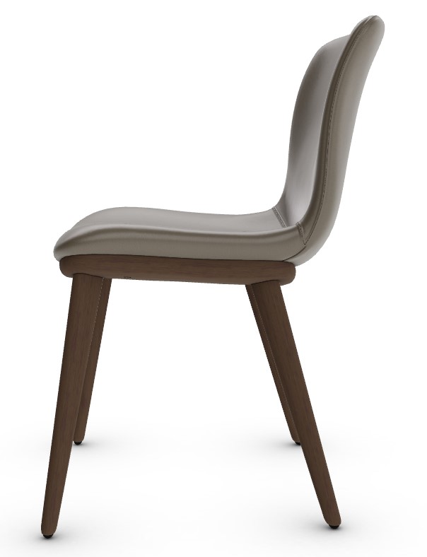 Annie Upholstery/Wood Dining Chair