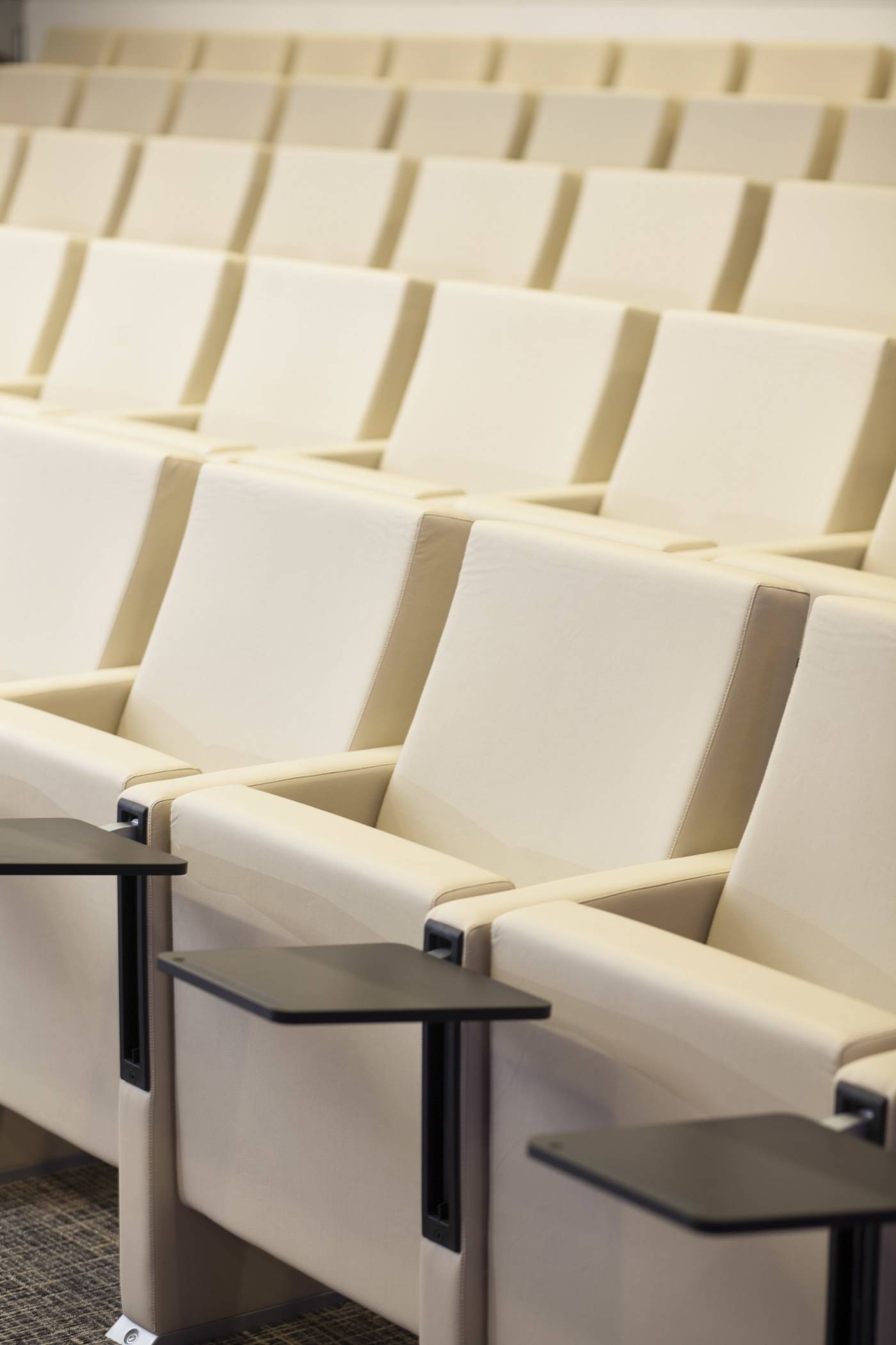 10 Side Feet Auditorium Seat
