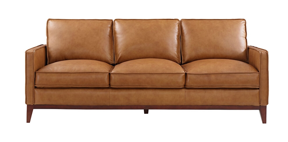 Harper Leather/Split Living Room Set