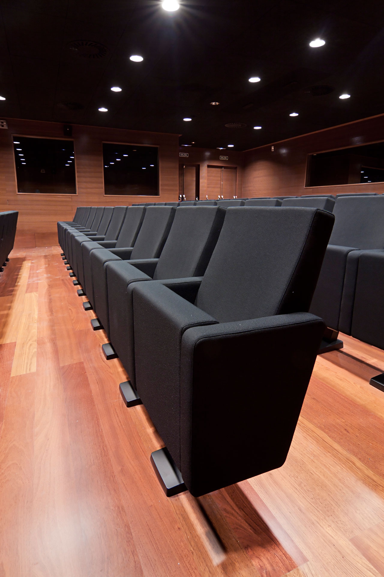 Audit Customizable Auditorium Seat