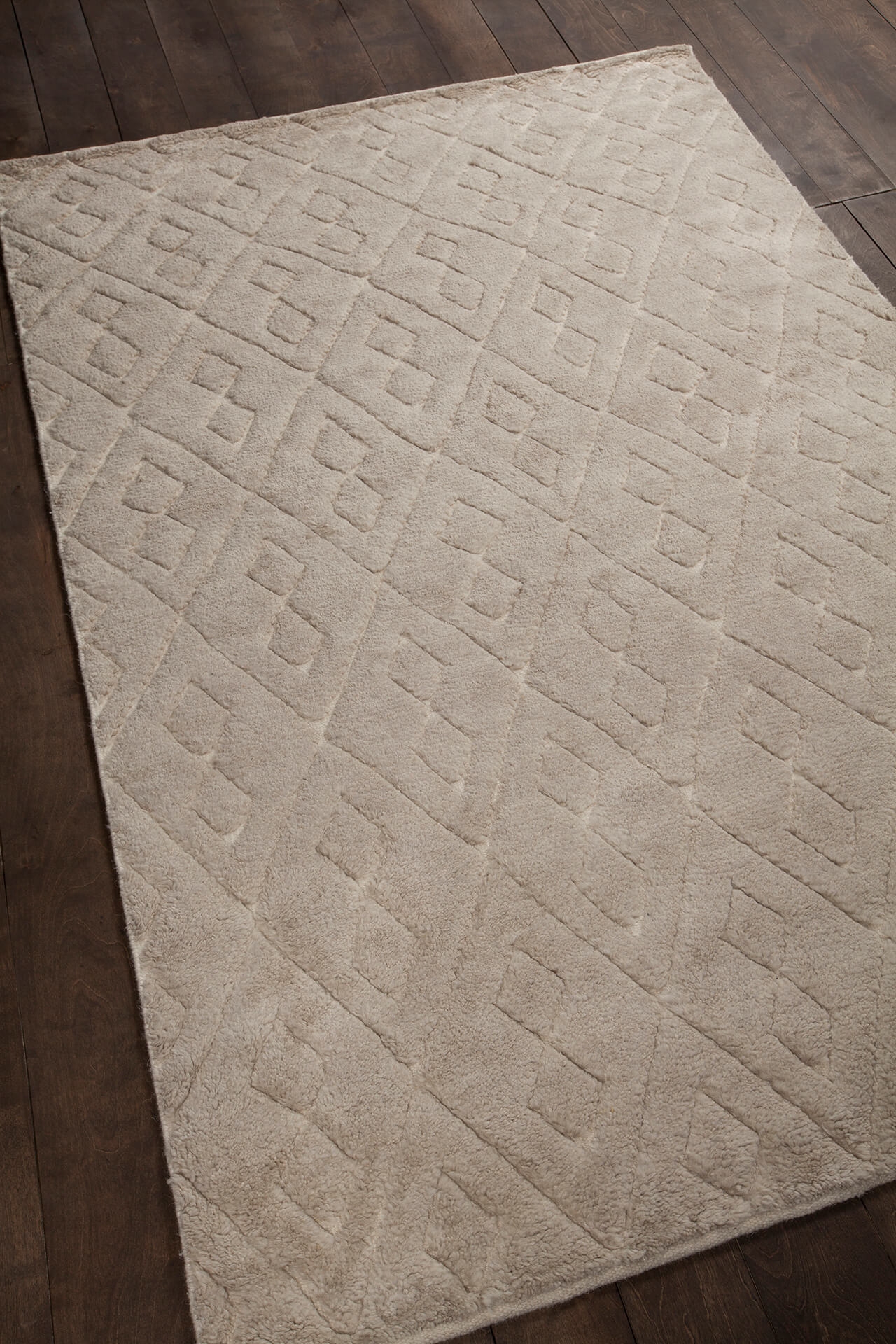 Catalina Wool/Cotton Rectangular Hand-knotted Rug, 5' x 7'6"
