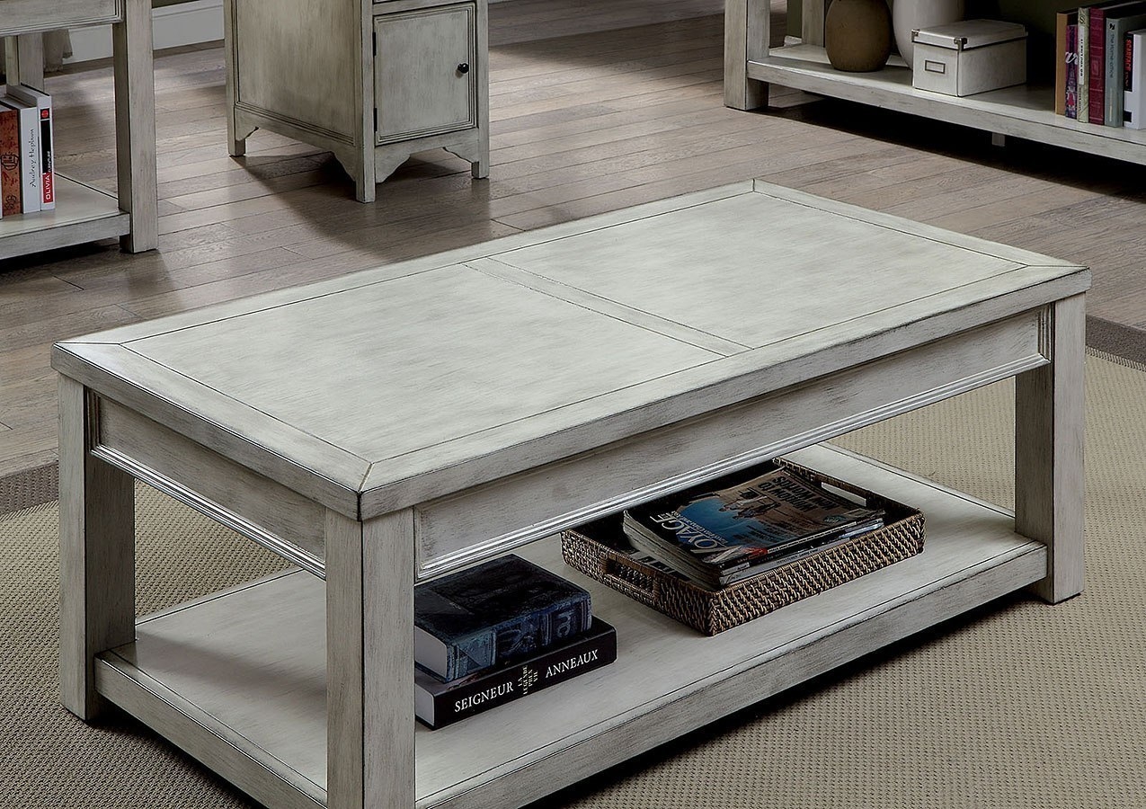 Meadow Wood Storage Coffee Table