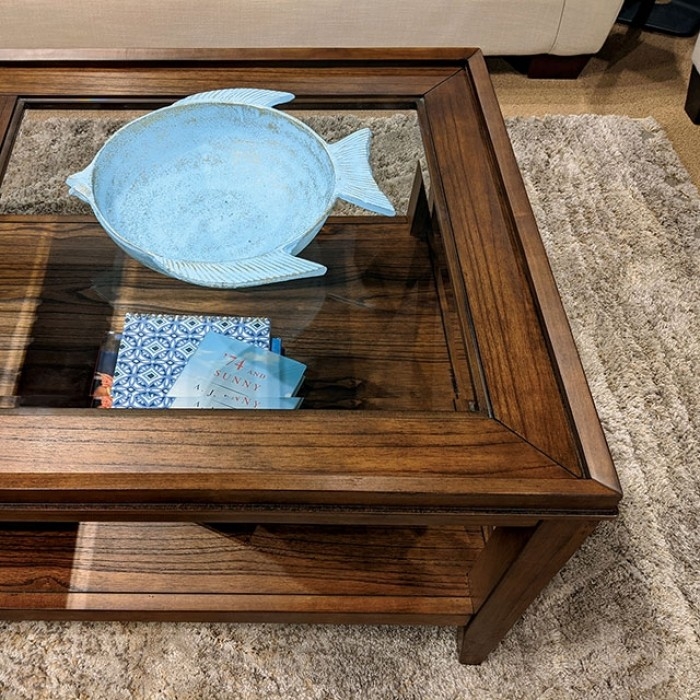 Izar Glass/Wood Storage Coffee Table