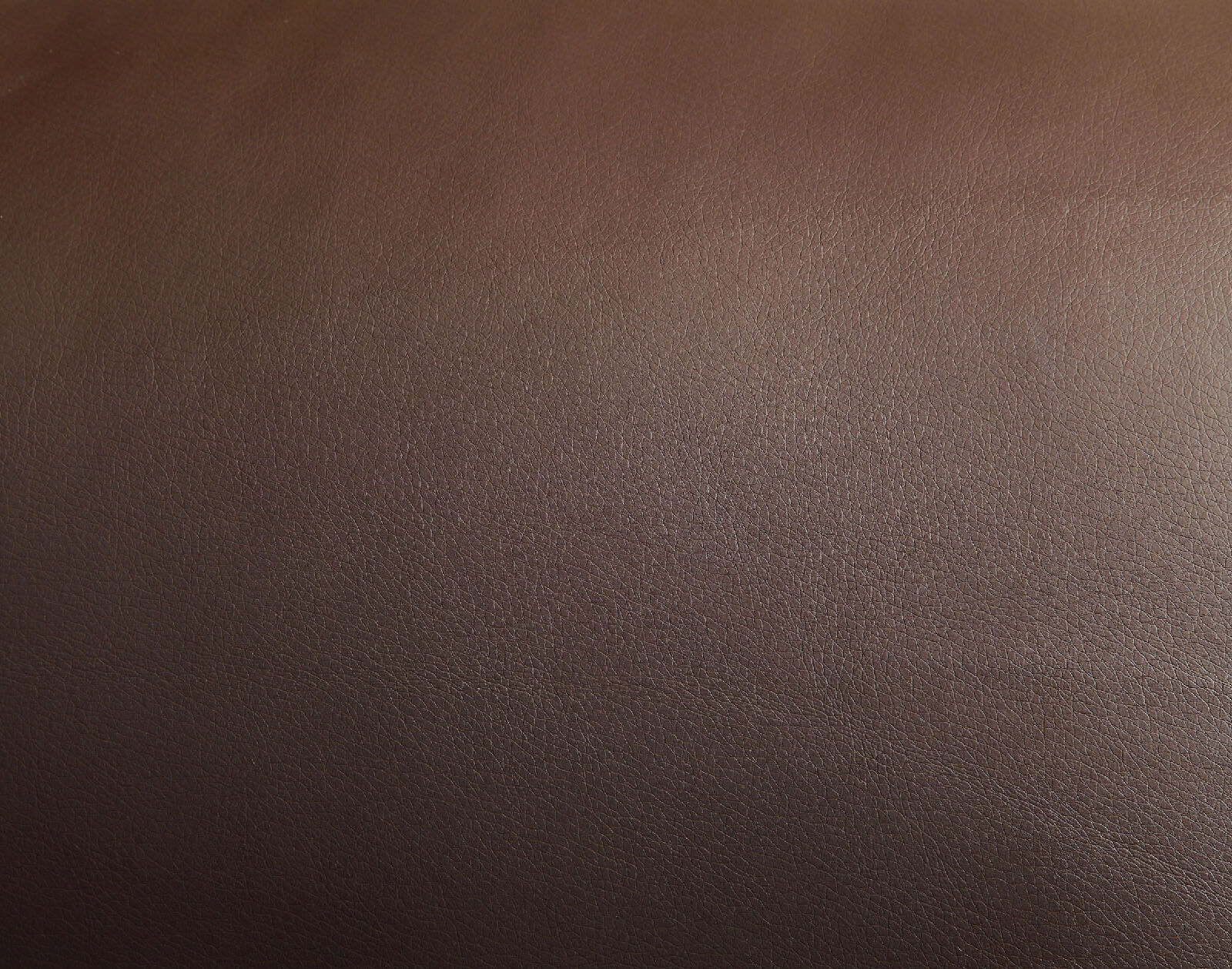 Parma Leatherette Loveseat