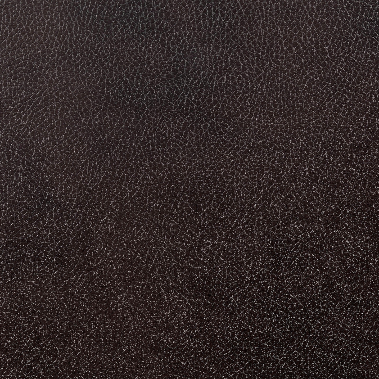 Pondera Leatherette Reclining Loveseat