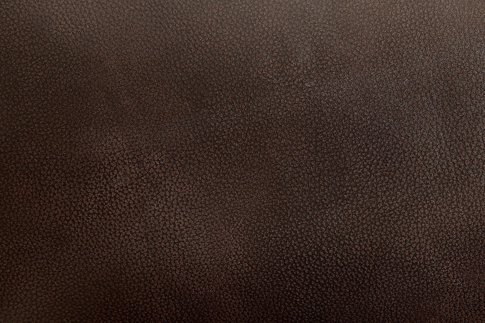 Ruth Top Grain Leather Match Reclining Sofa