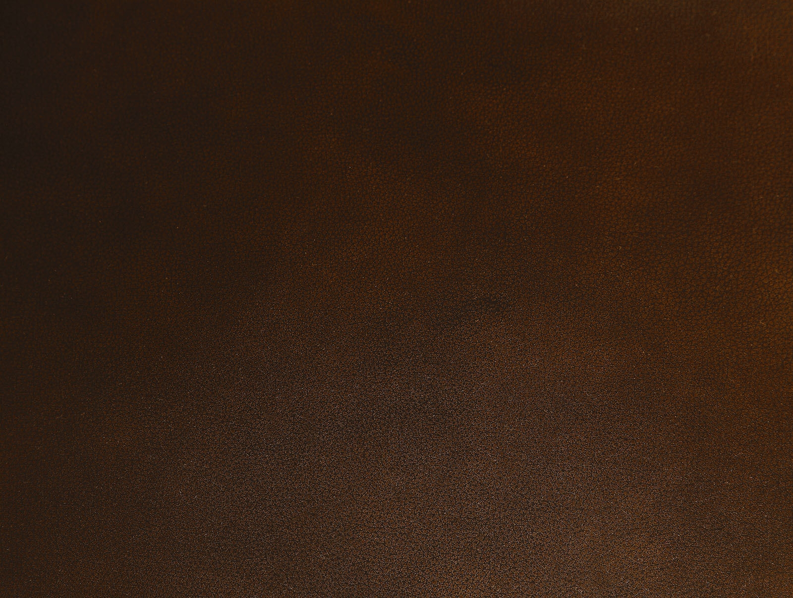Jericho Top Grain Leather Match/Wood Sofa