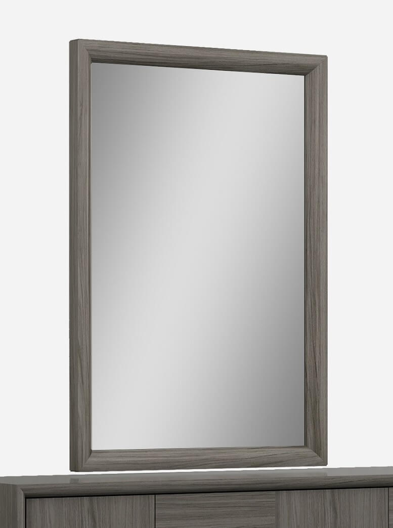 Head West Transitional Driftwood Wall Mirror