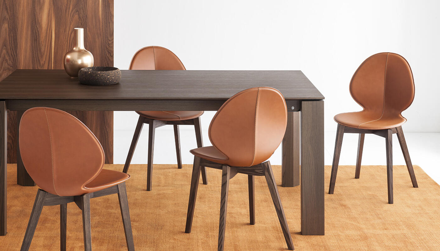 Basil Leather/Wood Dining Chair