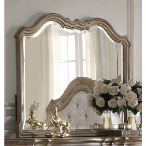 Chelmsford Mirror by Acme Furniture