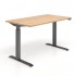 Active 47.2-inch Home/Office Sit-Stand Desk w/2 Column Telescopic Frame, PA Button Control, Z Type Feets by NARBUTAS