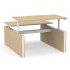 Motion 55.1-inch Electric 3 Columns Adjustable Office 2-Desk Bench w/Panel Legs by NARBUTAS