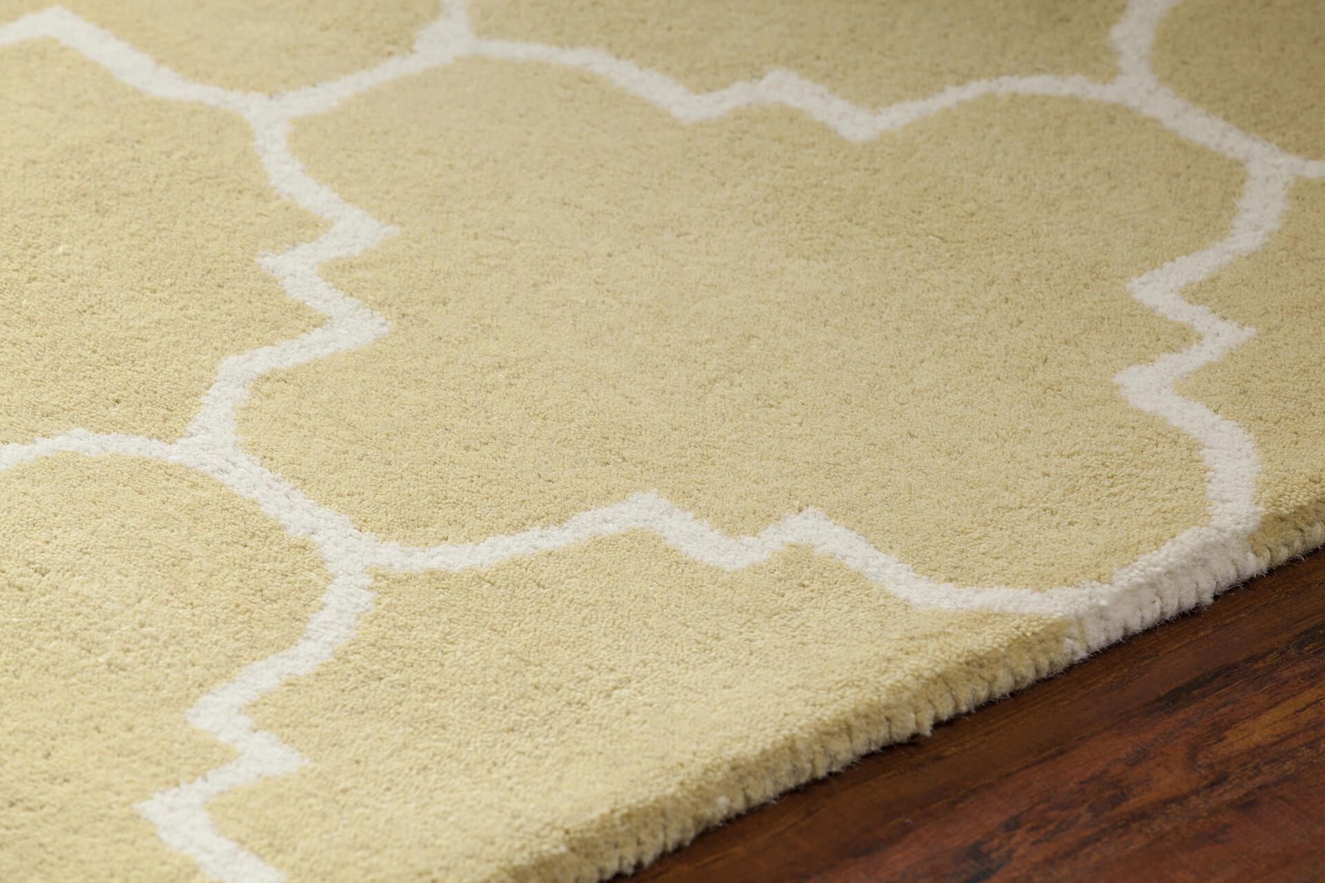 Davin Rectangular Wool Handmade Rug, 5' x 7'