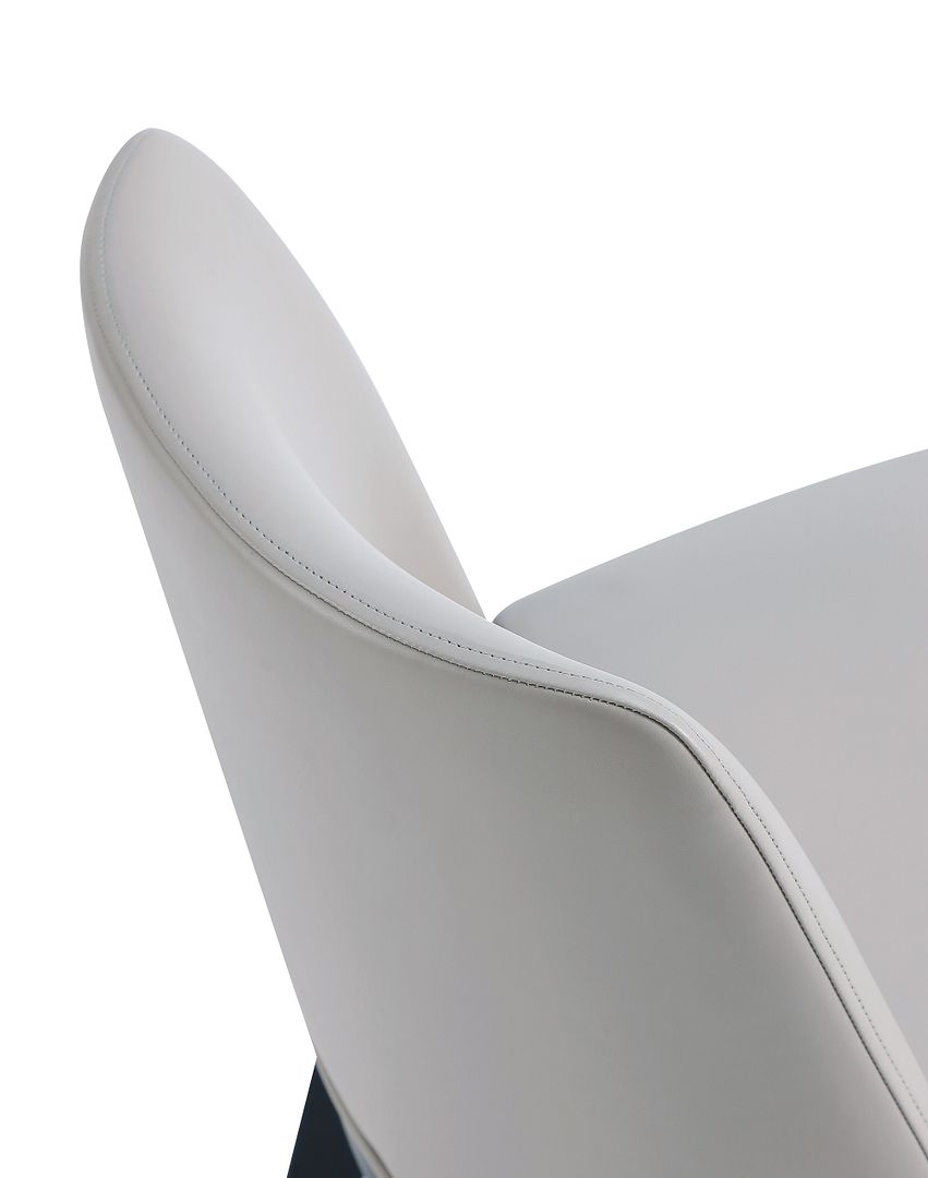Gansevoort Faux Leather Dining Chair, Set of 2