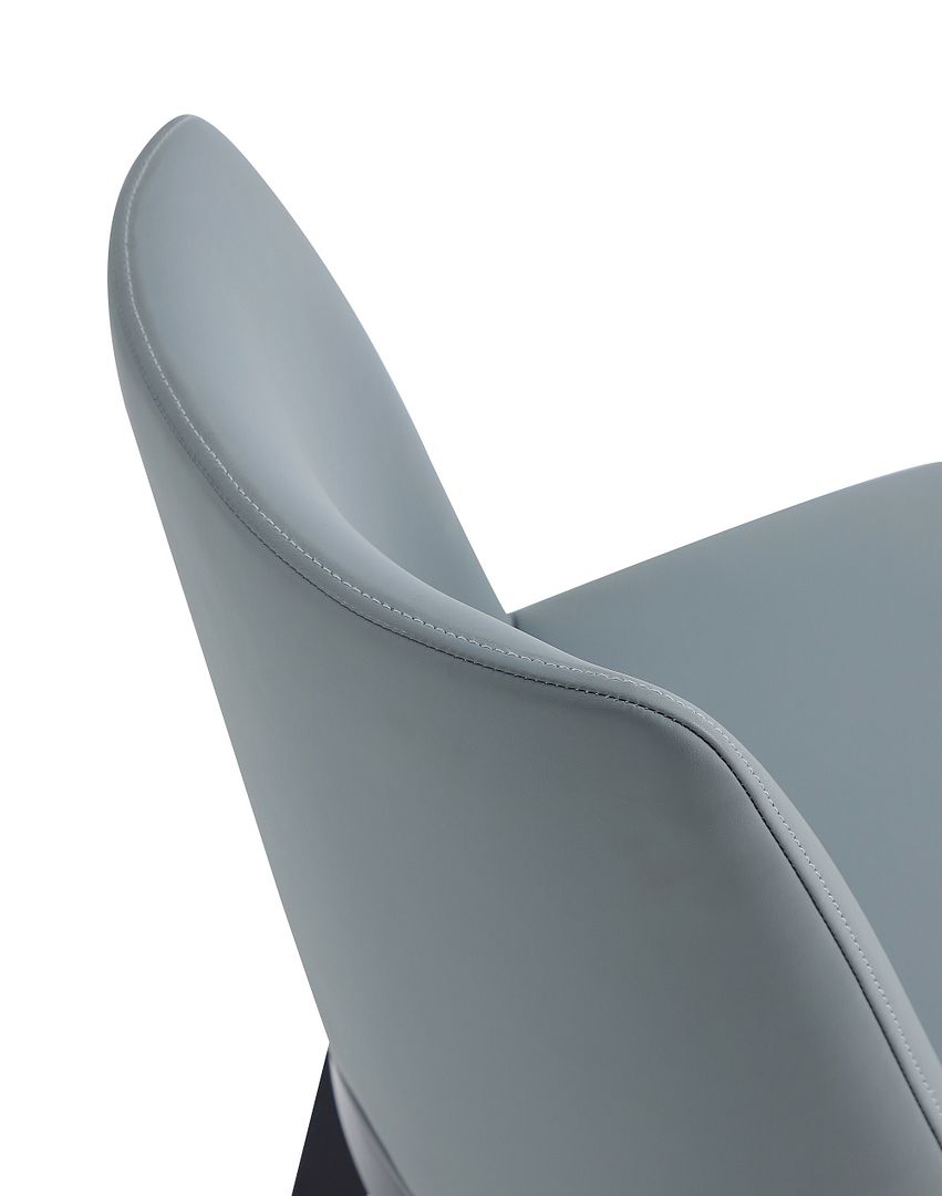 Gansevoort Faux Leather Dining Chair, Set of 2
