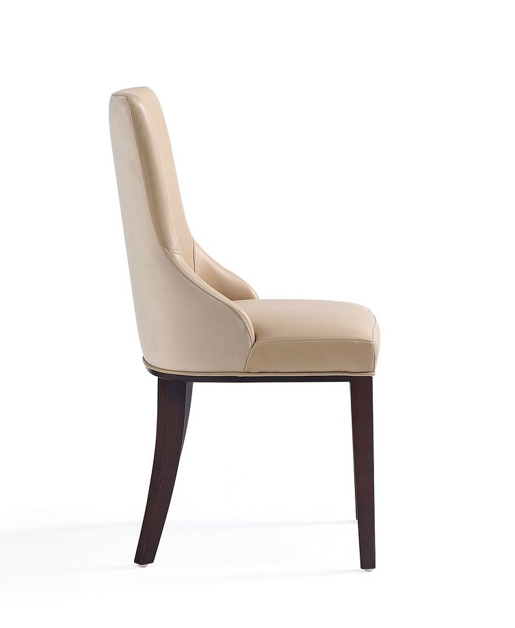 Shubert Faux Leather/Velvet Dining Chair 