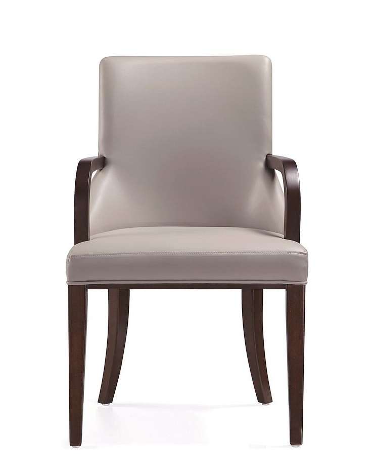Shubert Faux Leather/Velvet Dining Armchair 