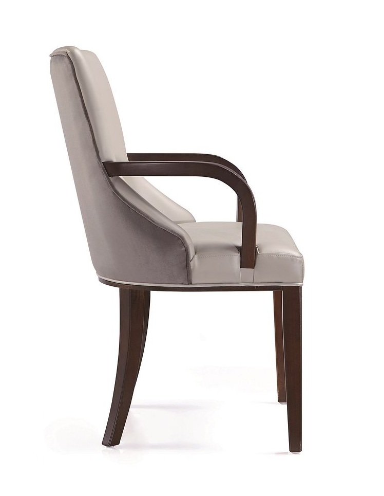 Shubert Faux Leather/Velvet Dining Armchair 
