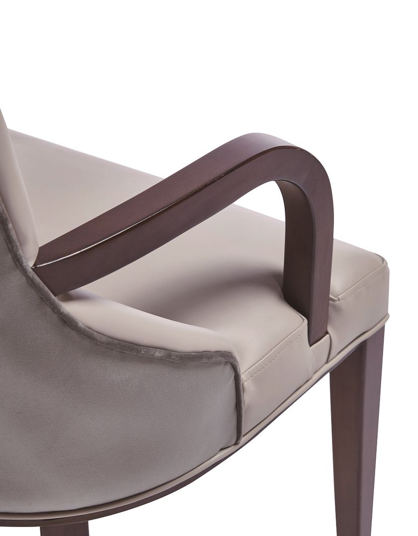 Shubert Faux Leather/Velvet Dining Armchair 