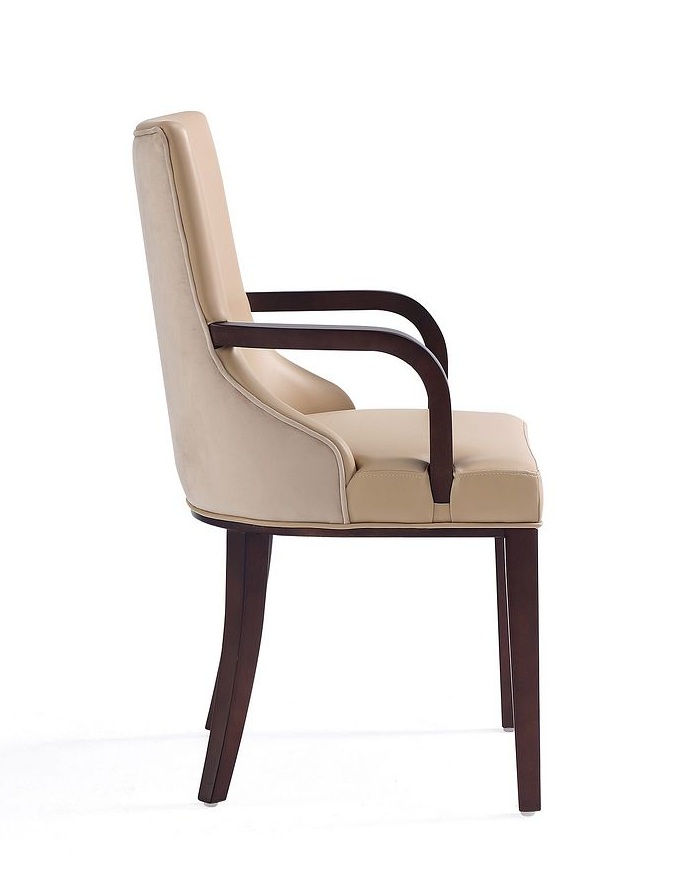 Shubert Faux Leather/Velvet Dining Armchair 