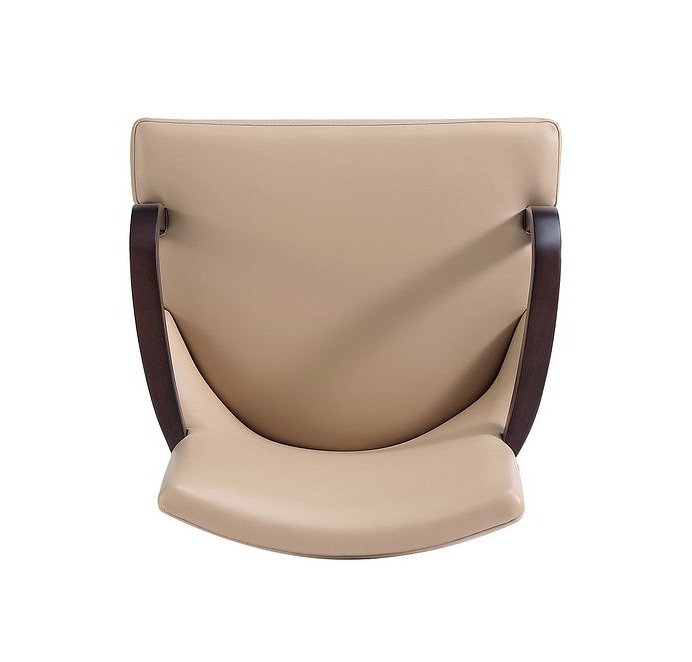 Shubert Faux Leather/Velvet Dining Armchair 