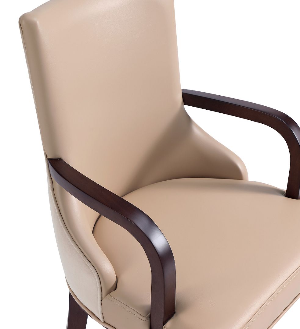 Shubert Faux Leather/Velvet Dining Armchair 