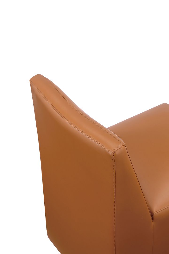Anna Square Faux Leather Dining Chair 