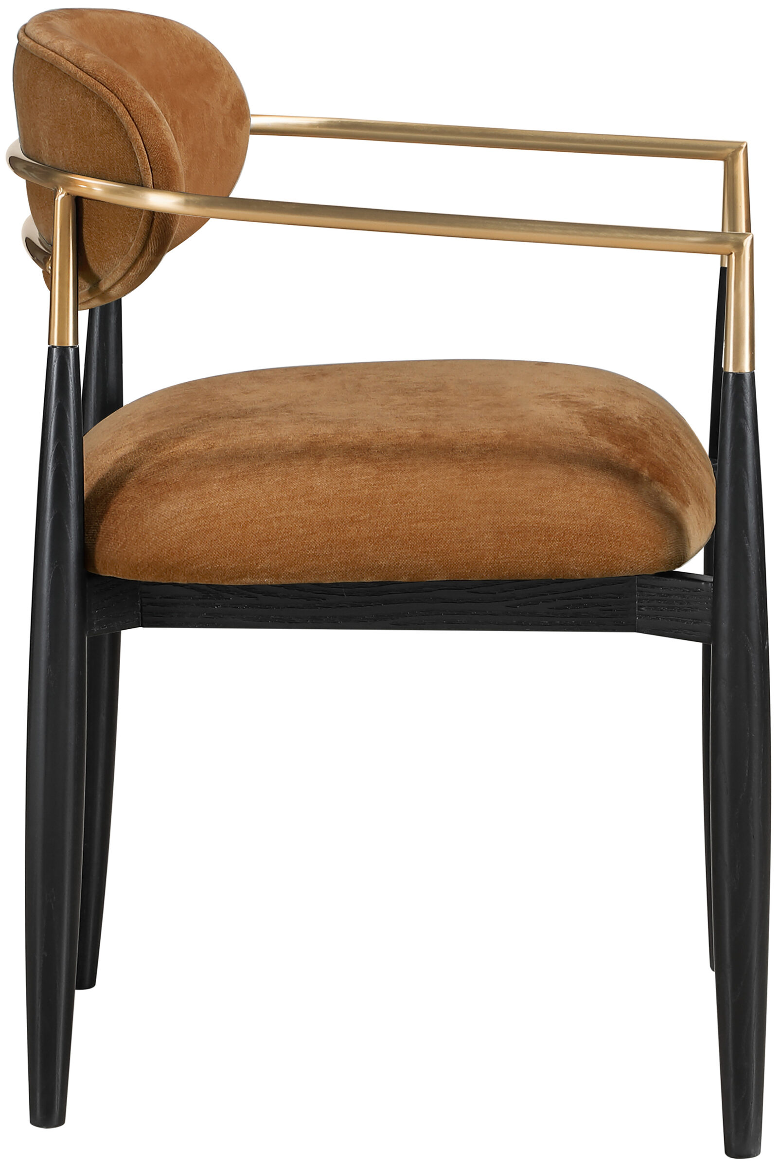 Riccio Polyester Arm Chair with Black Wood & Brushed Brass Iron Base