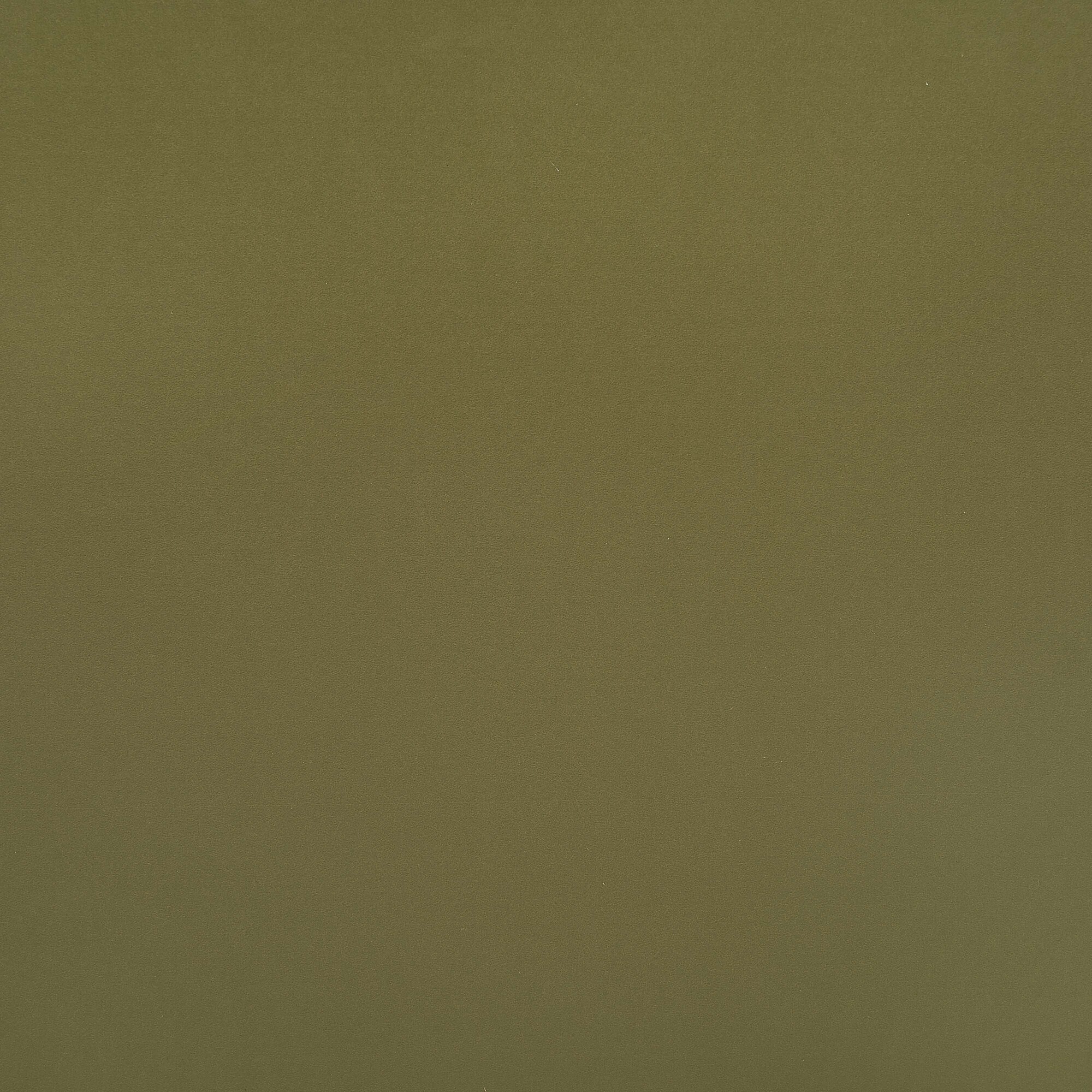 Olive Green Fabric