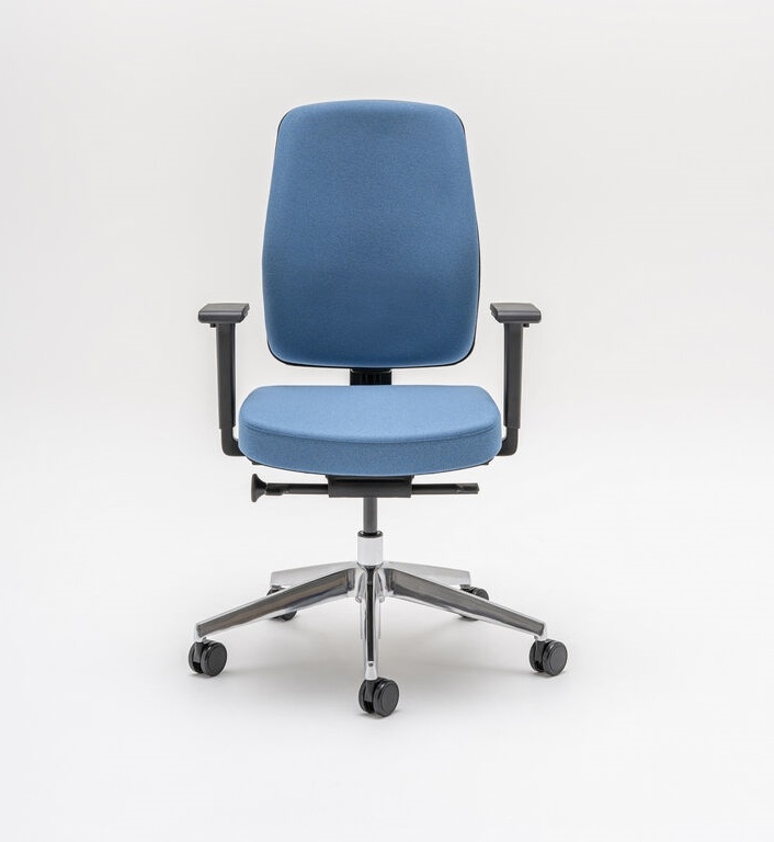 Renya Fabric Swivel Adjustable Office Chair