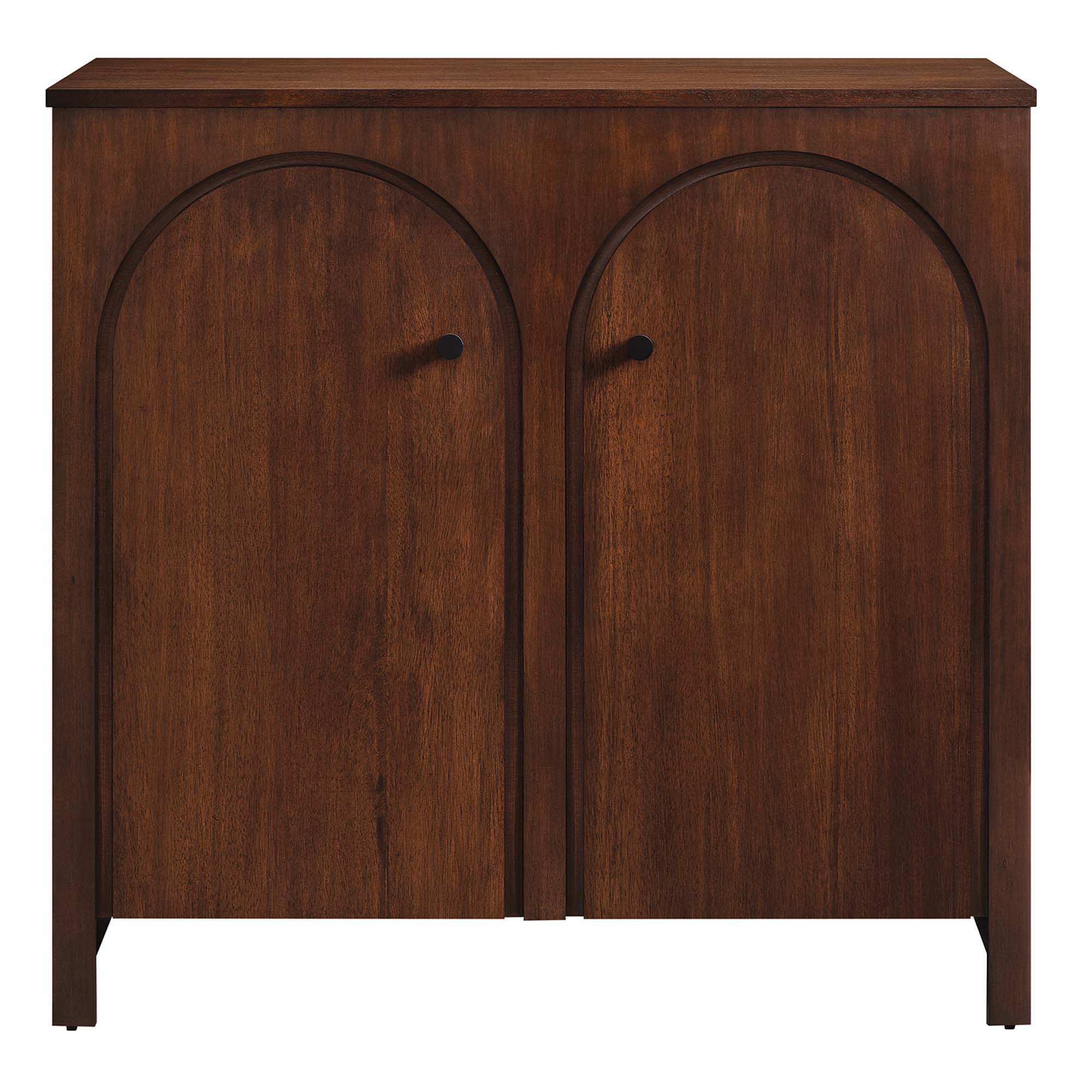 Appia 2-Door Storage Cabinet