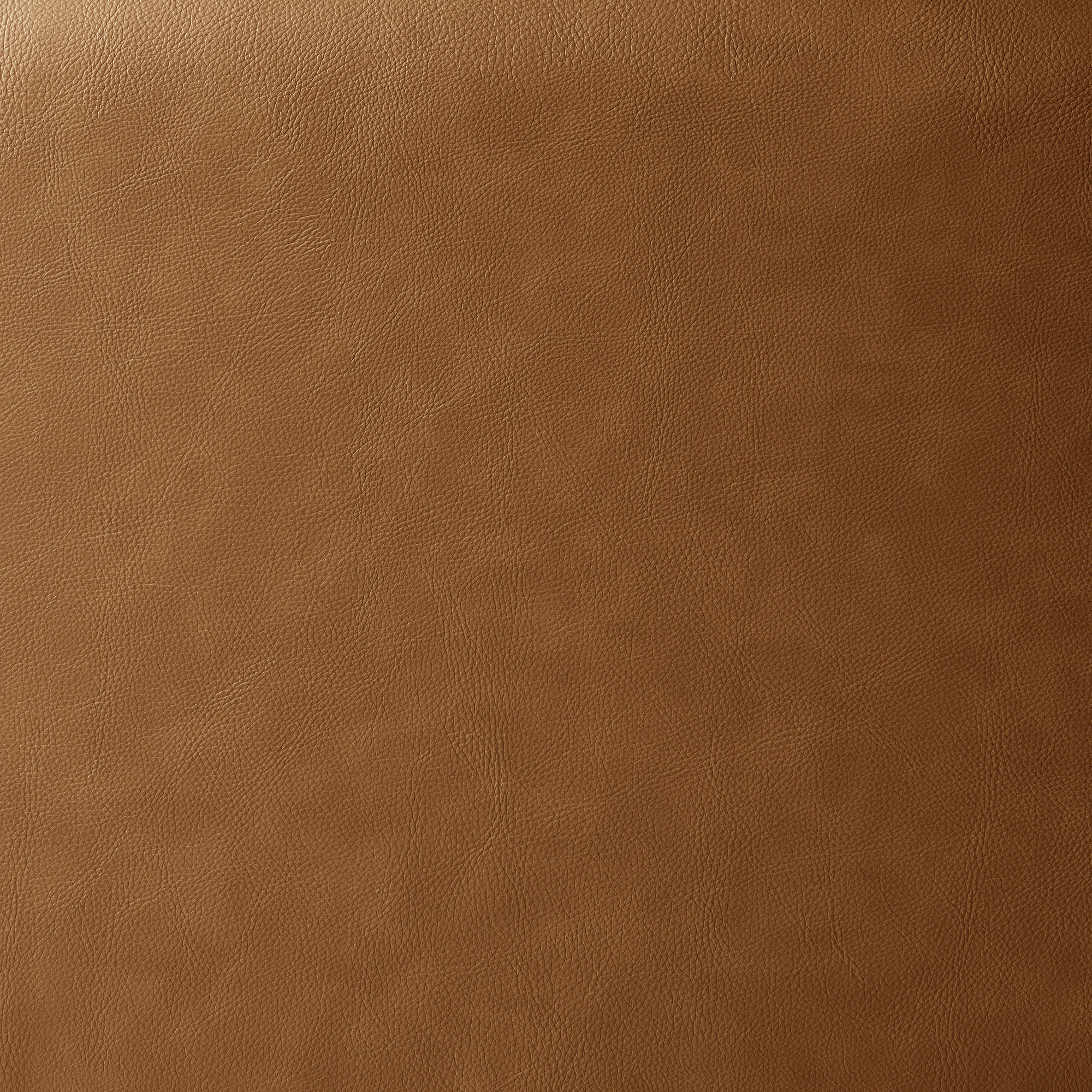 Revive Upholstered Vegan Leather Loveseat