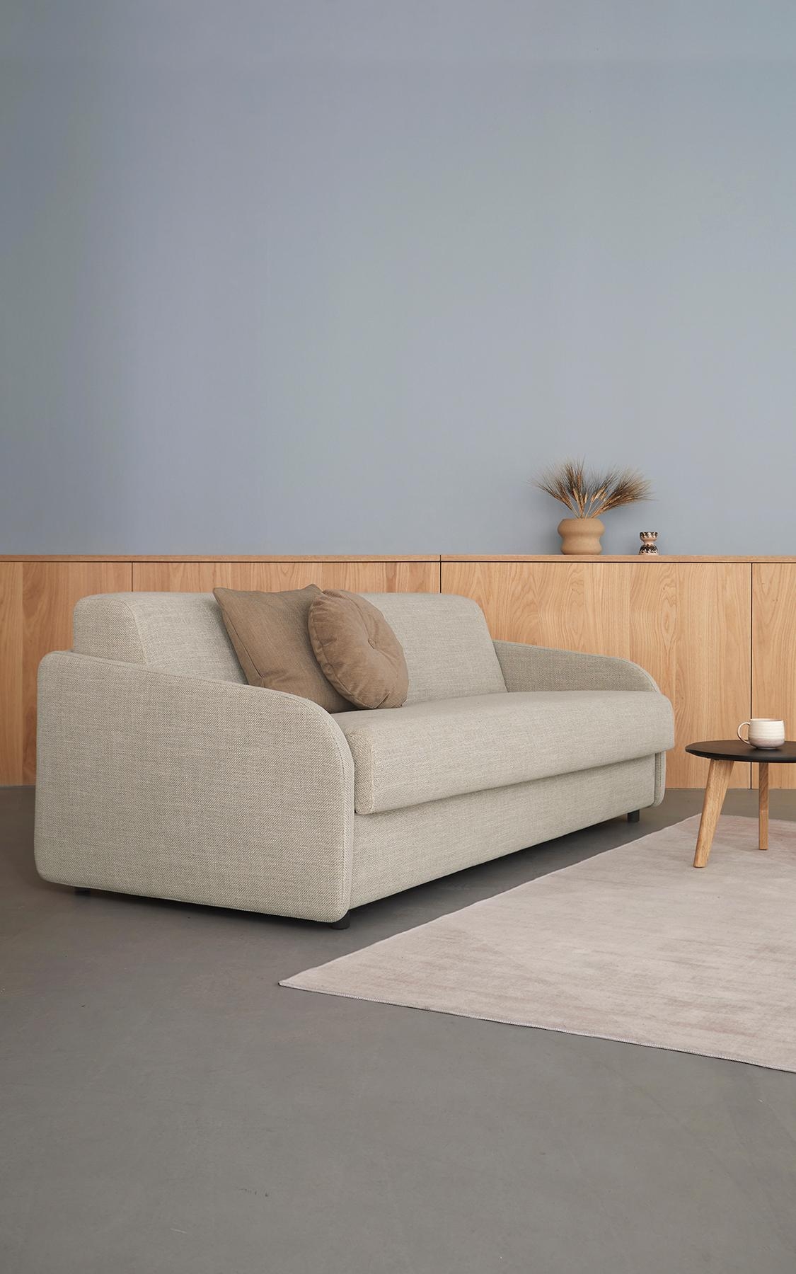 Eivor Fabric Sofa Bed