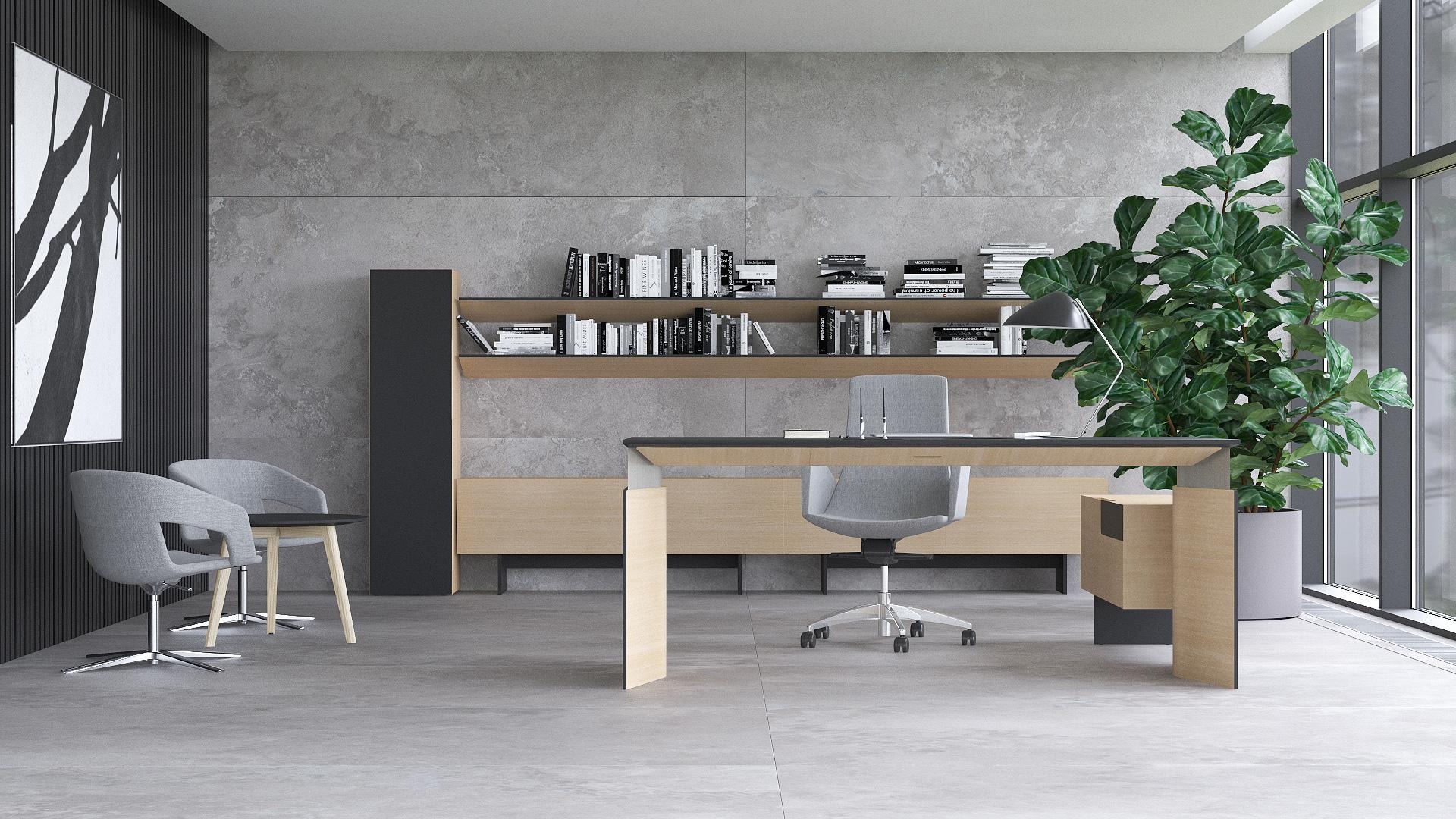 Move&Lead Cabinet w/3 Shelves