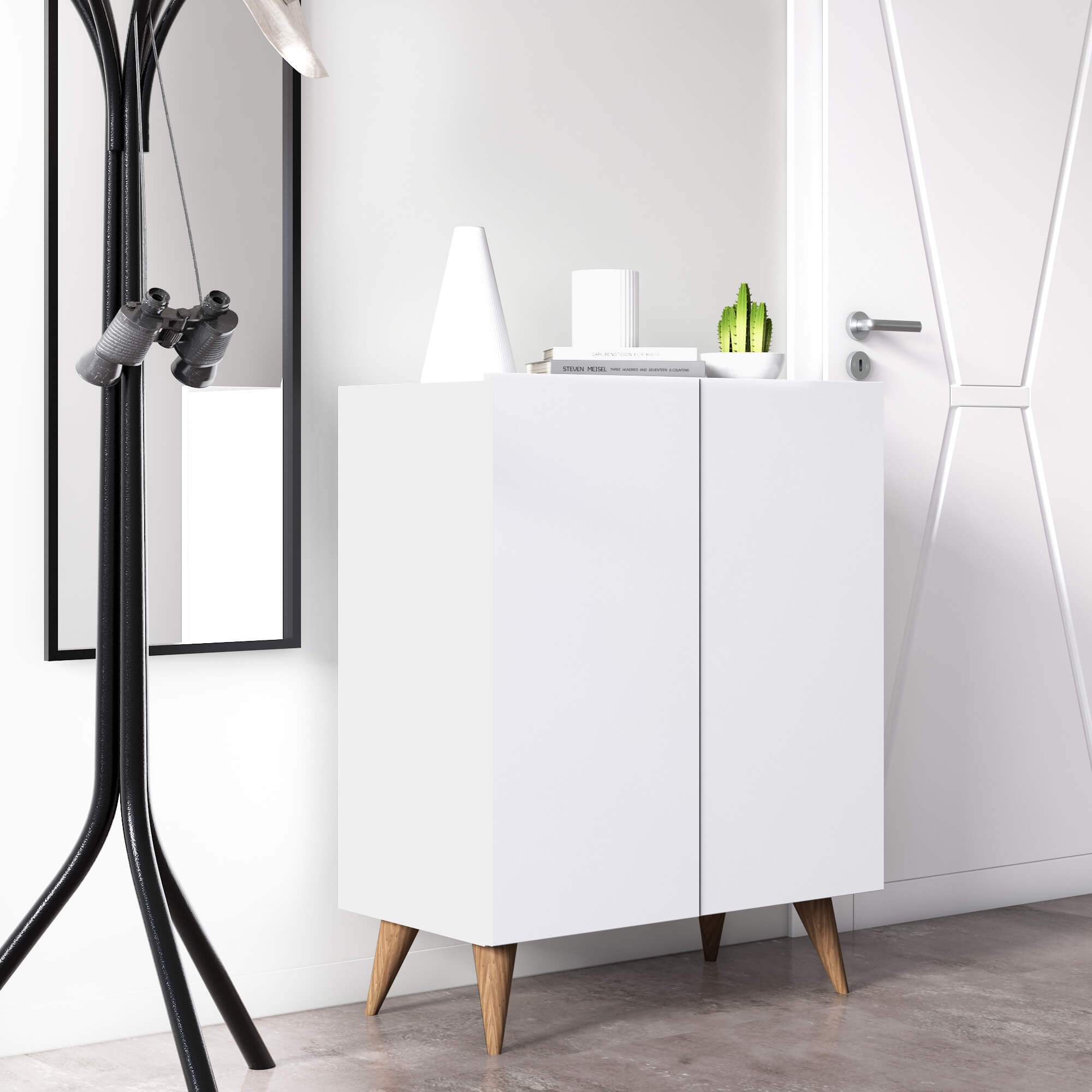 Forte Modern Contemporary Shoe Cabinet