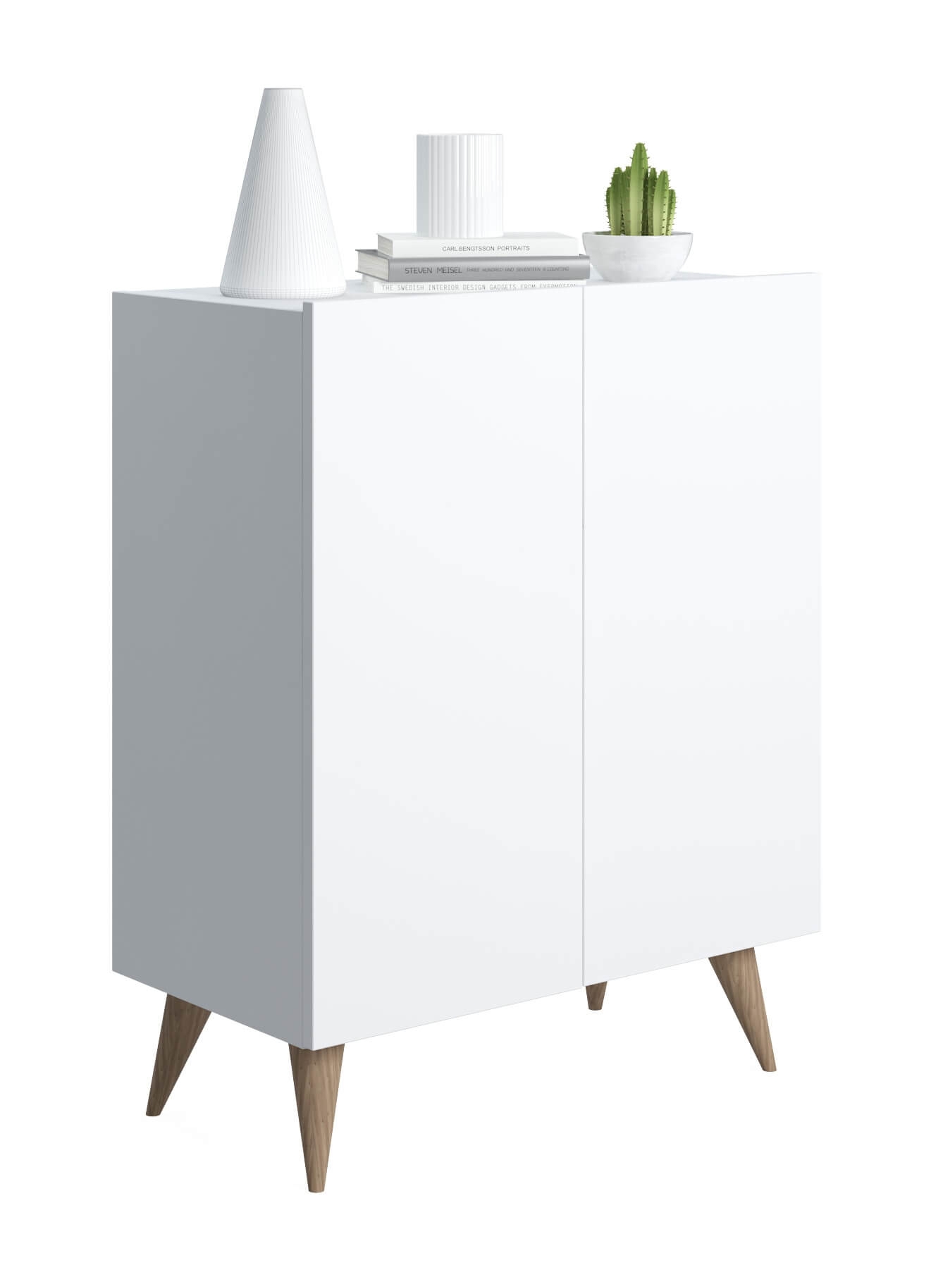 Forte Modern Contemporary Shoe Cabinet
