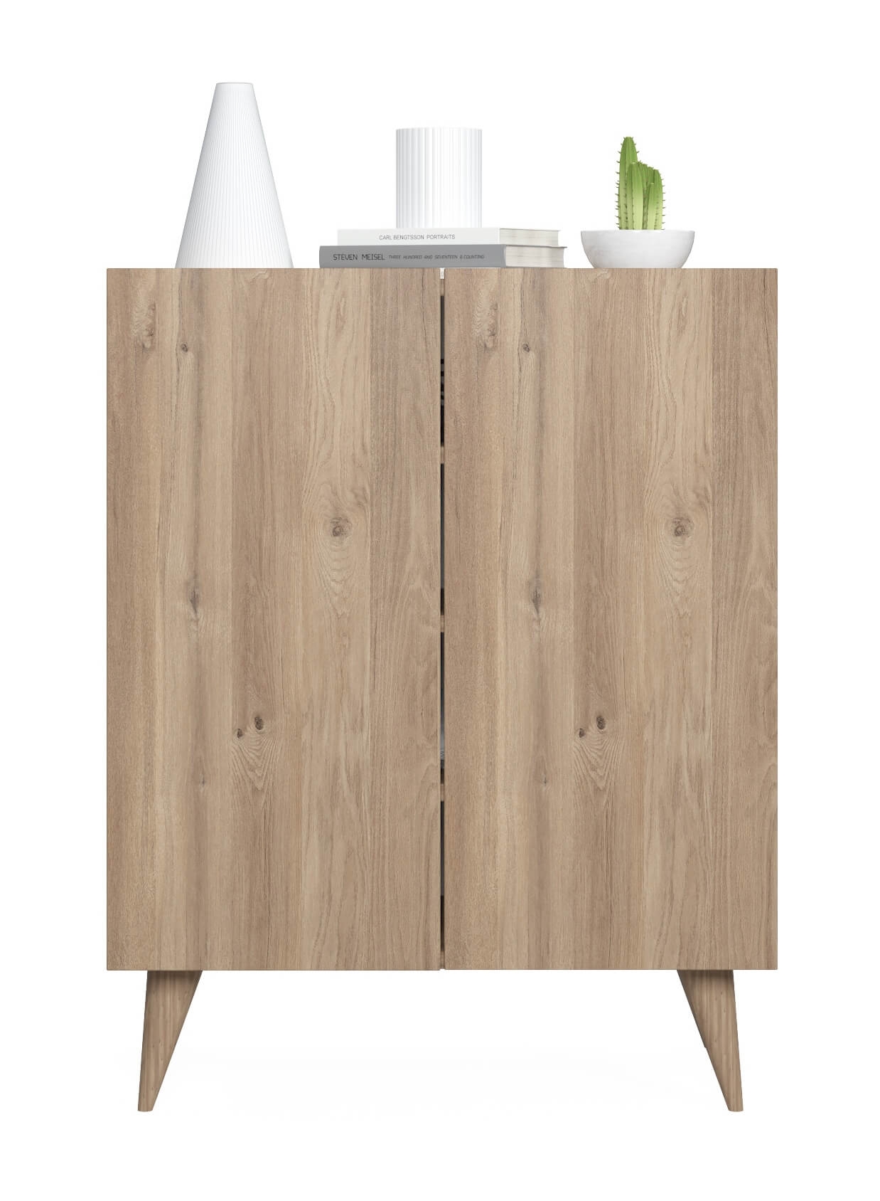 Forte Modern Contemporary Shoe Cabinet