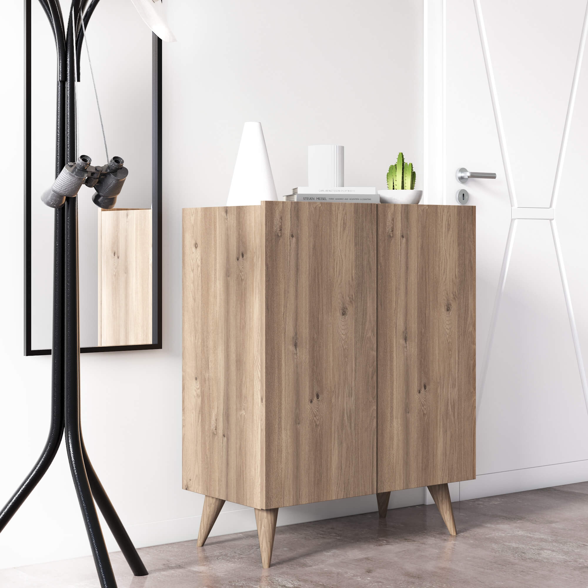 Forte Modern Contemporary Shoe Cabinet