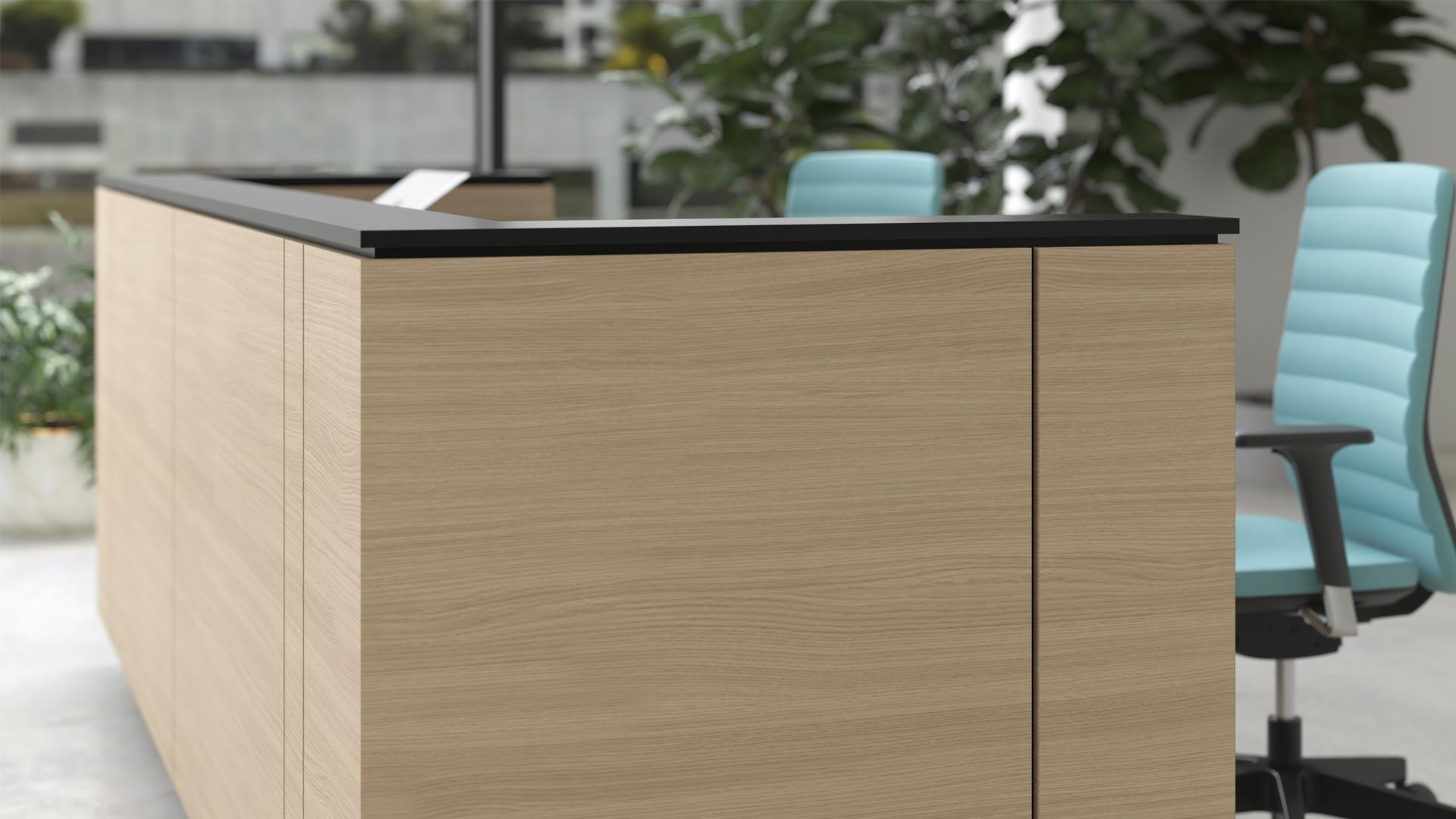 NARBUTAS ICE 2 Working Places Reception Unit Side