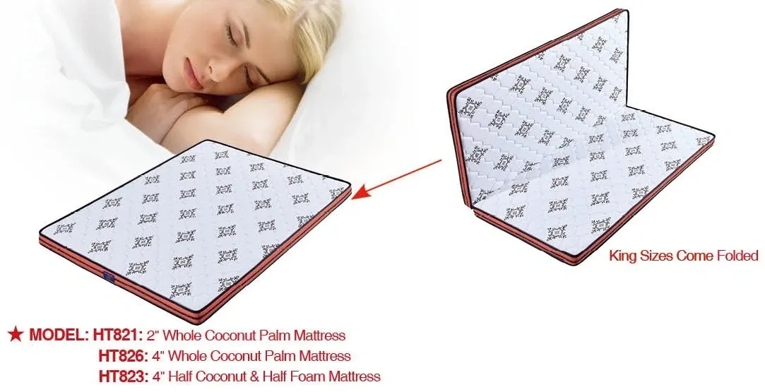 HT821 2-inch Height Whole Palm
