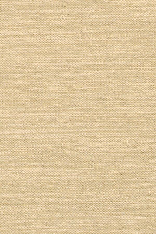 India Cotton Rectangular Hand-woven Rug, 3'6" x 5'6"