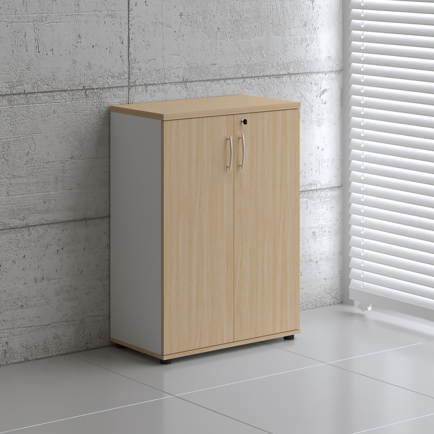 Basic Office Storage Cabinet w/Doors