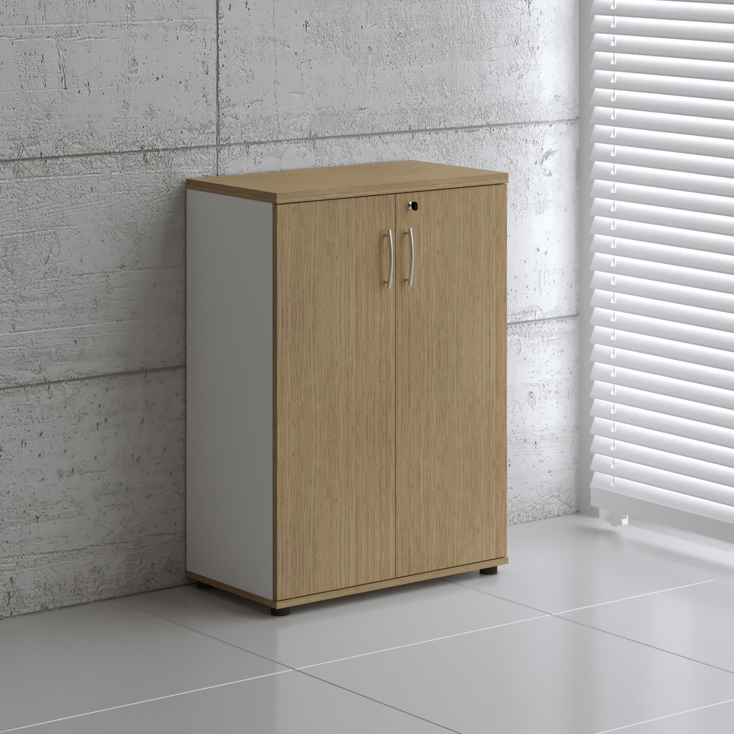 Basic Office W31.5" Storage Cabinet w/2 Doors
