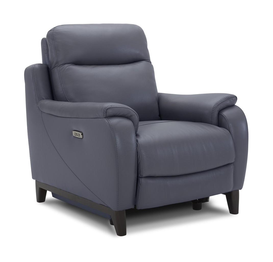 Leonard Leather Power Recliner