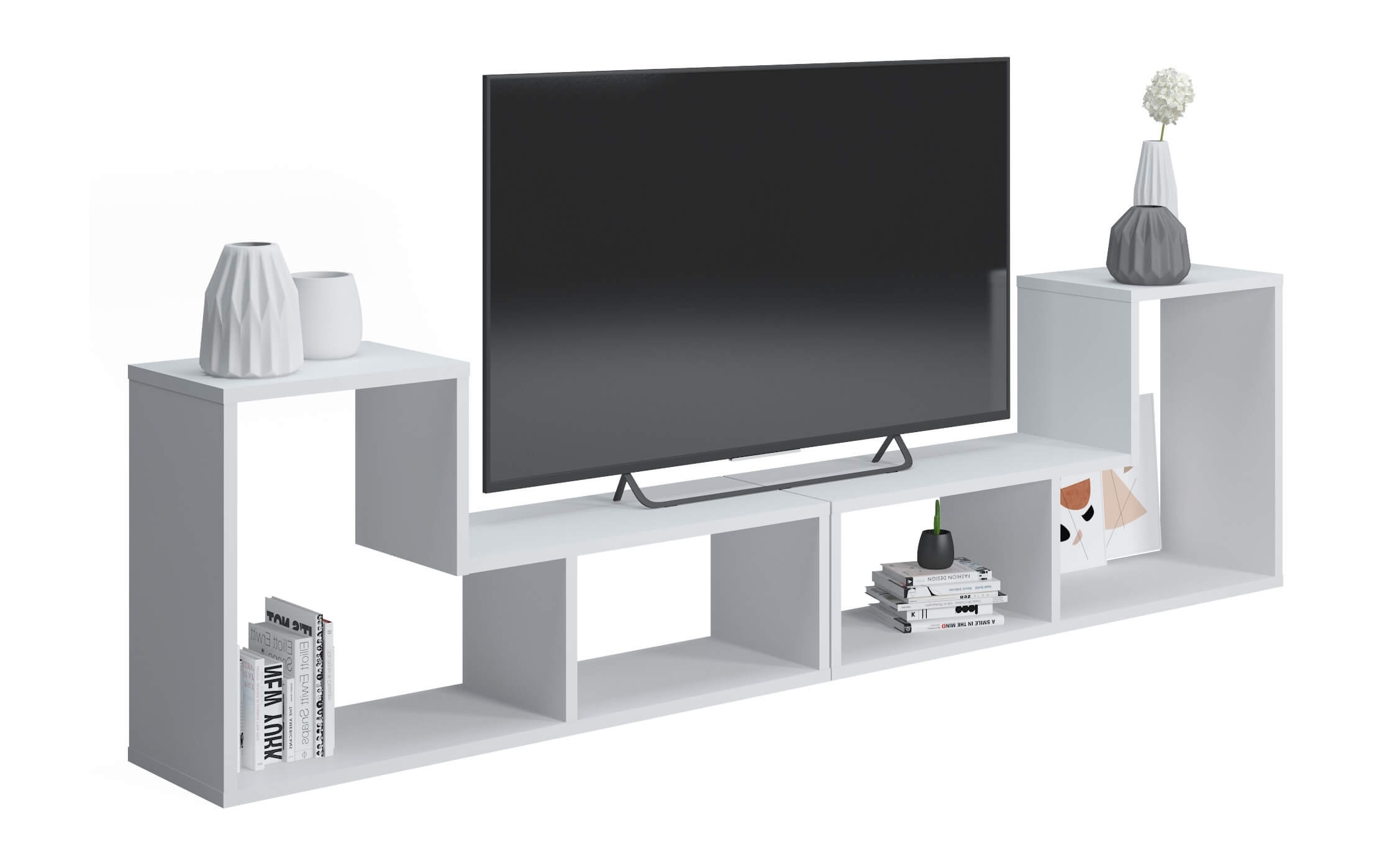 Legon Modern Contemporary TV Unit with Storage